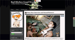 Desktop Screenshot of bluntbrothersproductions.com